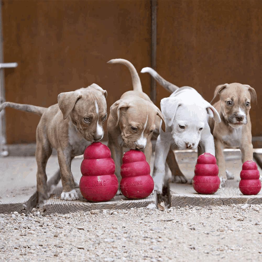 Brinquedo Mordedor com Dispenser para Petisco Vermelho Kong Classic - 4