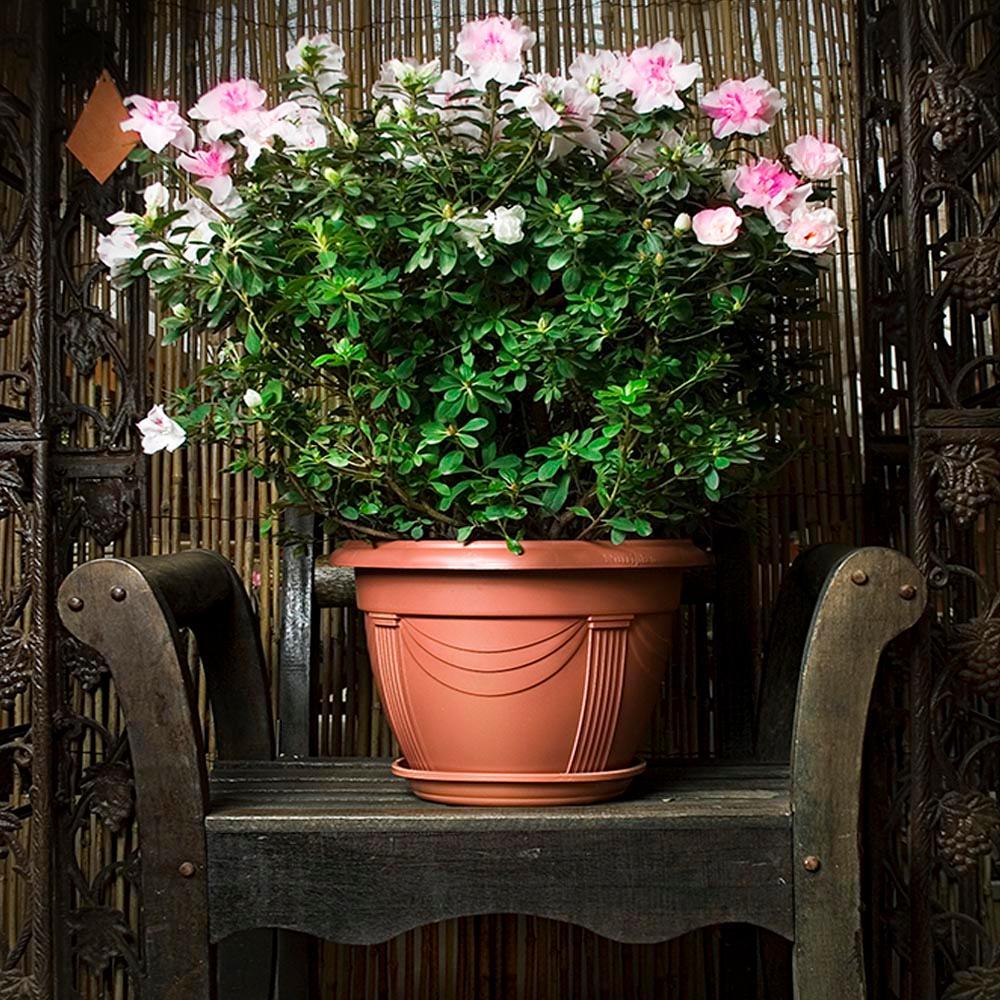 Vaso Plástico Romano Cerâmica Nutriplan - 2