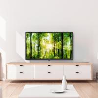 TV 32” Philco Led HD Recepção digital PTV32A21DFH