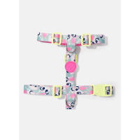 Kit Peitoral H + Guia Pets Unicórnio Skate - 2