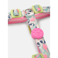 Kit Peitoral H + Guia Pets Unicórnio Skate - 3