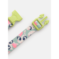 Kit Peitoral H + Guia Pets Unicórnio Skate