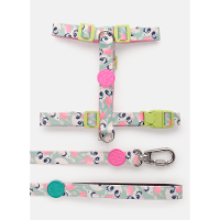 Kit Peitoral H + Guia Pets Unicórnio Skate - 6