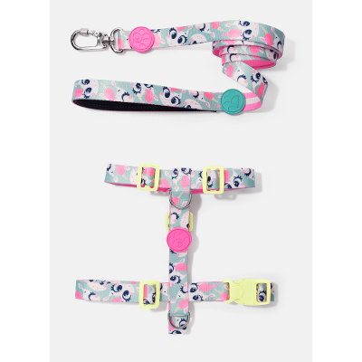 Kit Peitoral H + Guia Pets Unicórnio Skate