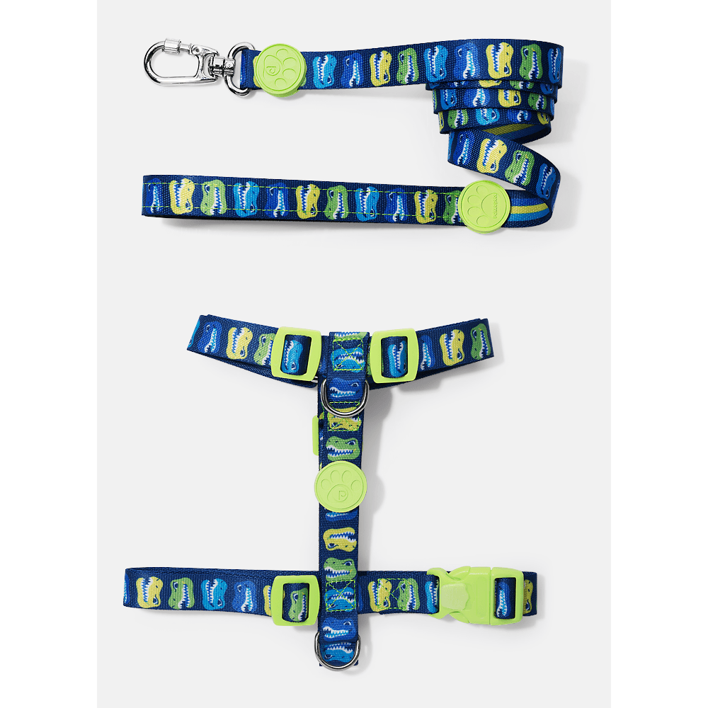 Kit Peitoral H + Guia Pets Dinossauro Skate - 1