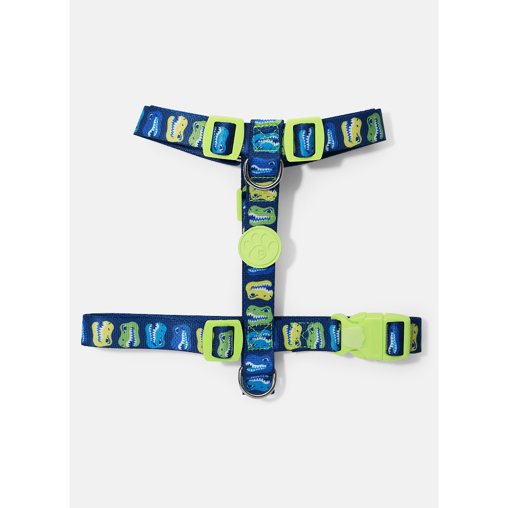 Kit Peitoral H + Guia Pets Dinossauro Skate - 2