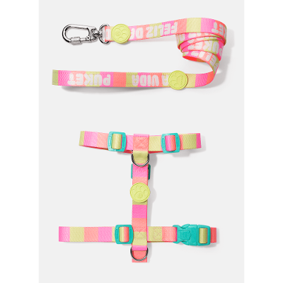 Kit Peitoral H + Guia Pets Color Block Rosa