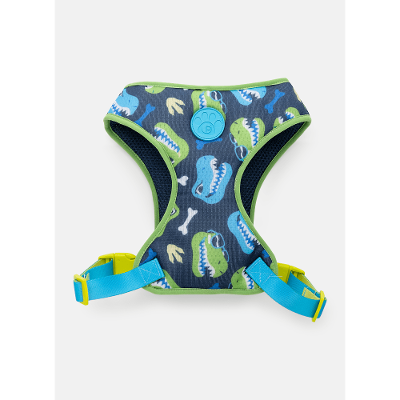 Peitoral Style para Pets Dinossauro Skate