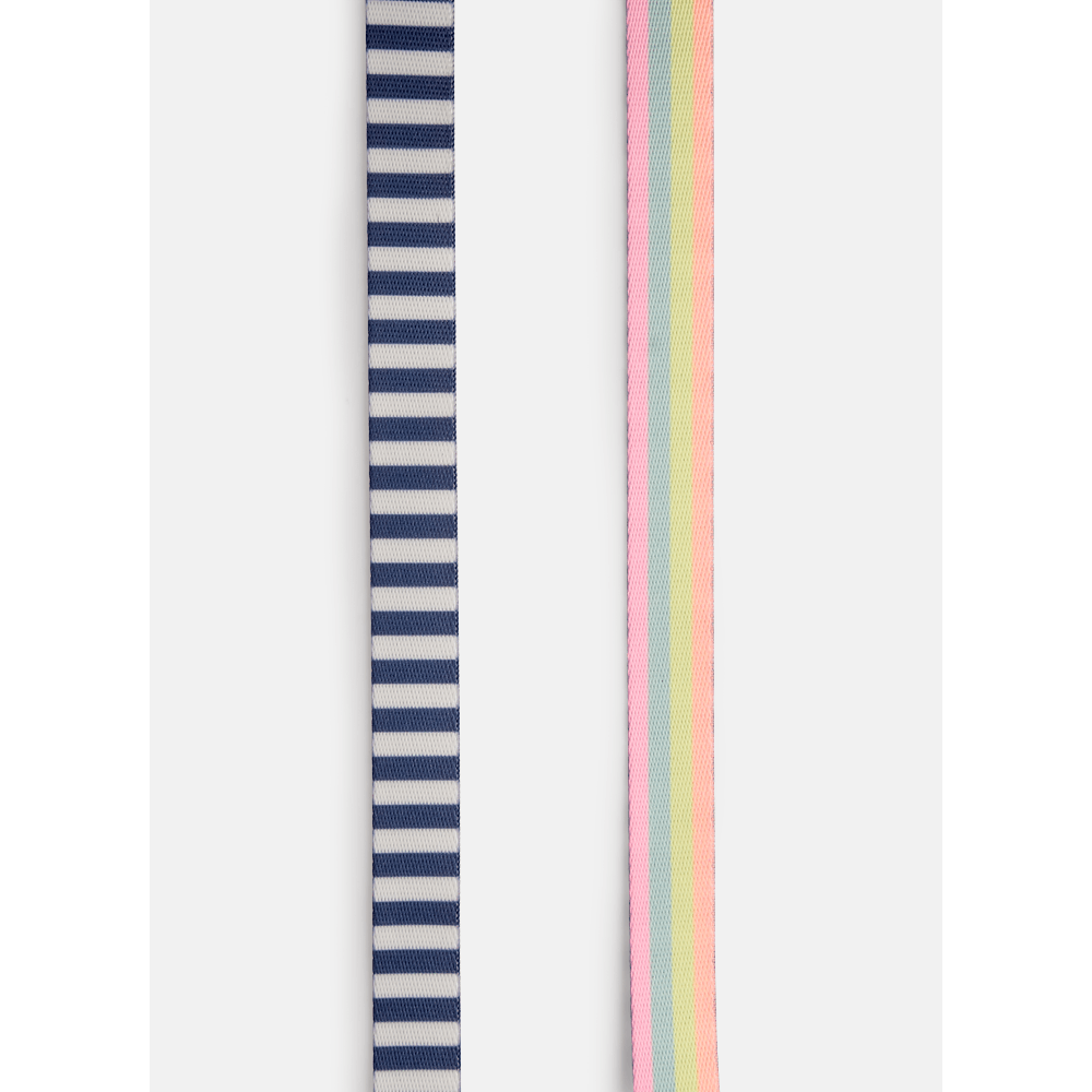 Guia Style para Pets Listrada Azul - 2