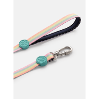 Guia Style para Pets Listrada Azul - 4