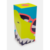 Caixa de Presente Pequena Dinossauro - 19x8,5x7,5 (AxLxP) - 1