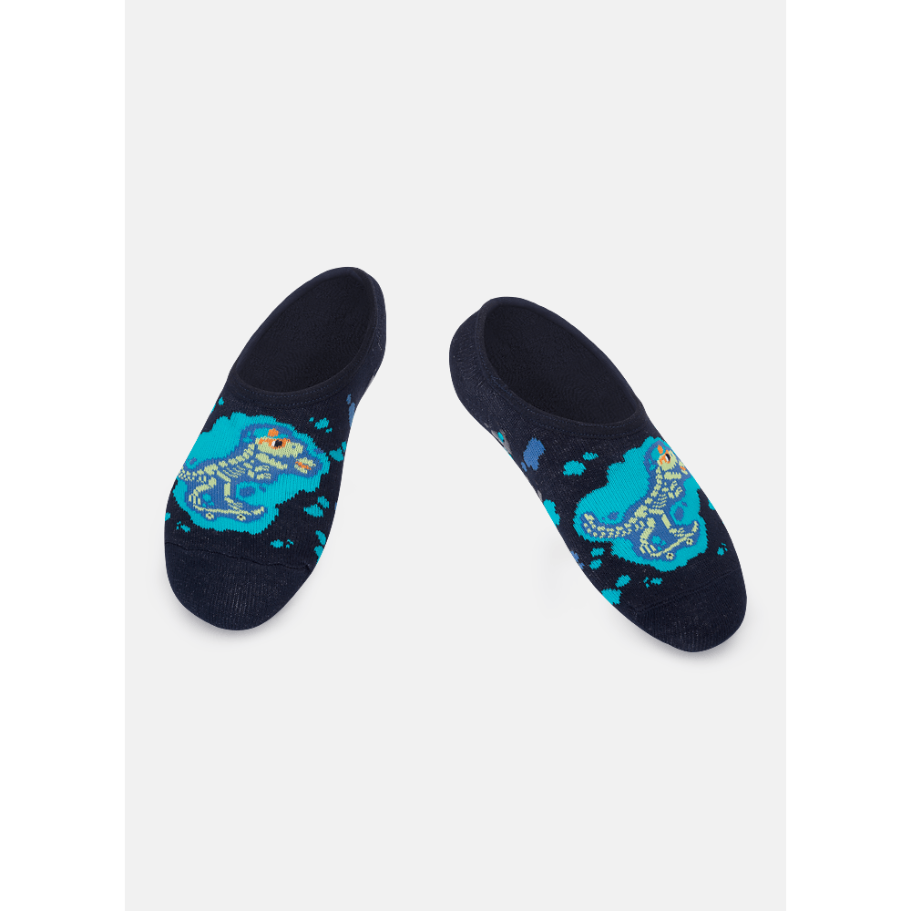 Meia Sapatinho Antiderrapante Menino Dinossauro Fósseis - 1