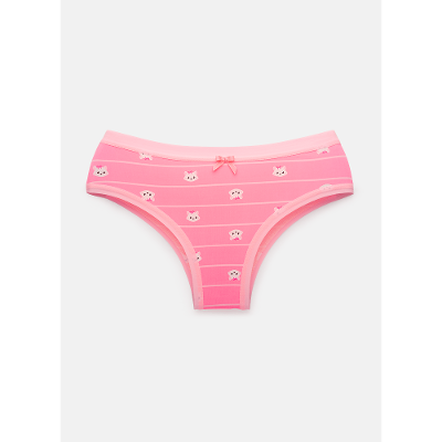 Calcinha Boneca Feminina Família Pets