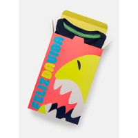 Caixa de Presente Média Dinossauro - 25x17x8cm (AxLxP) - 4