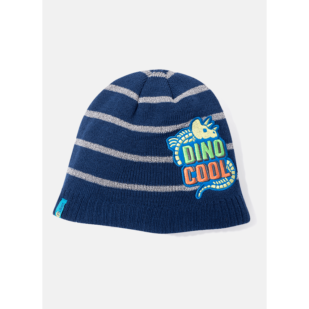 Gorro Menino Dinossauro Fósseis - 1