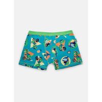 Cueca Boxer Algodão Menino Multibichos - 1