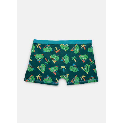 Cueca Boxer Algodão Menino Teen Dino Miami