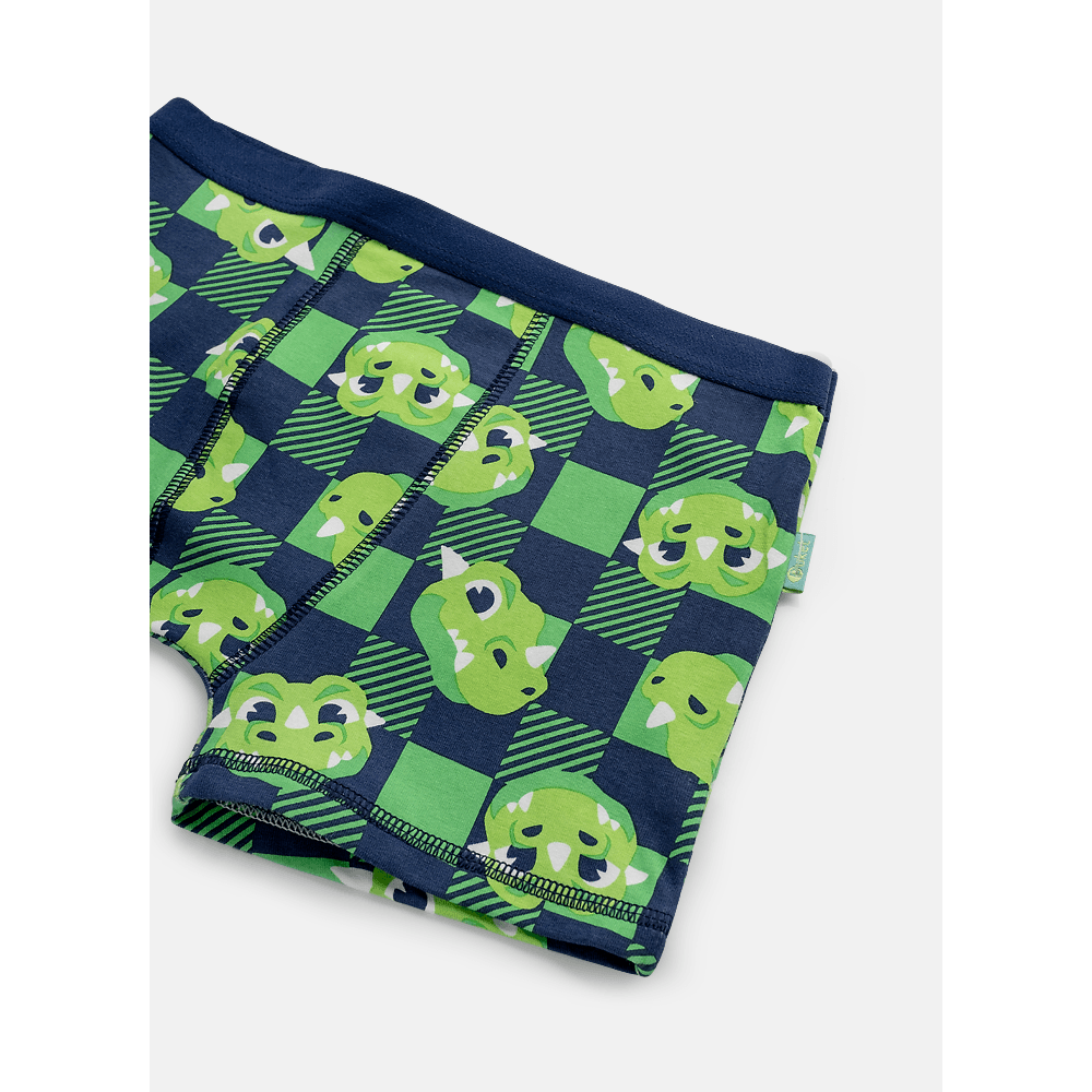 Cueca Boxer Algodão Menino Teen Dragão Camping - 3