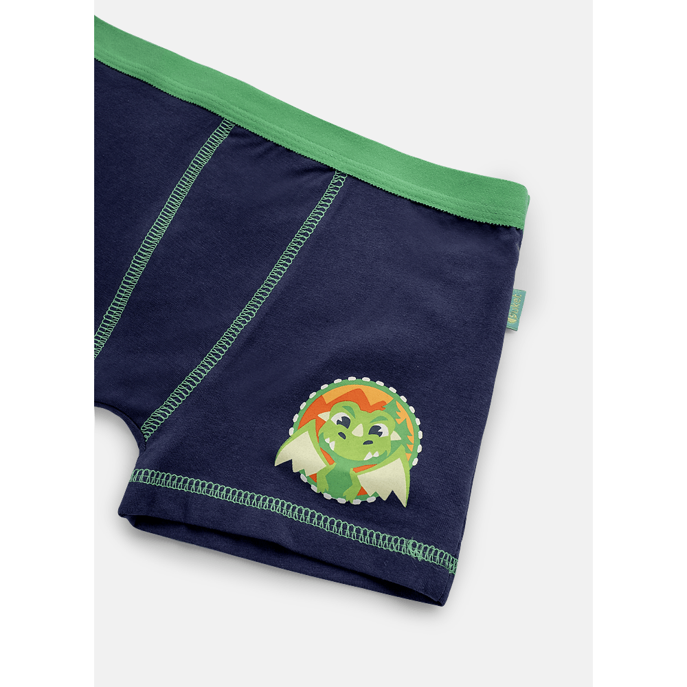 Cueca Boxer Algodão Menino Teen Dragão Camping - 3