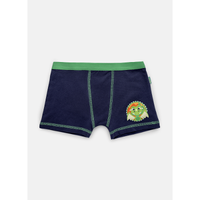 Cueca Boxer Algodão Menino Teen Dragão Camping