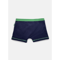 Cueca Boxer Algodão Menino Teen Dragão Camping - 2