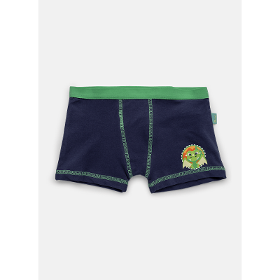 Cueca Boxer Algodão Menino Dragão Camping