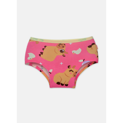 Calcinha Caleçon Viscolycra Menina Teen Capivara Vibes