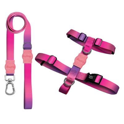 Kit Guia Premium + Peitoral H Dog Trip Brasil Peniche para Cães - Tam. P