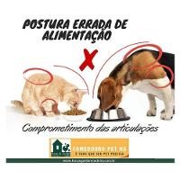 Comedouro Duplo Madeira com Bowl em Inox Modelo 1 - Tam. G - 6