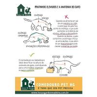 Comedouro Duplo Madeira com Bowl em Inox Modelo 1 - Tam. G - 10