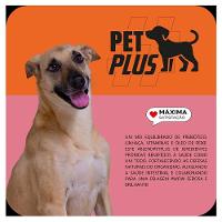 Ração Seca Max Frango e Arroz para Cães de Porte Médio e Grande - 3 Kg - 5