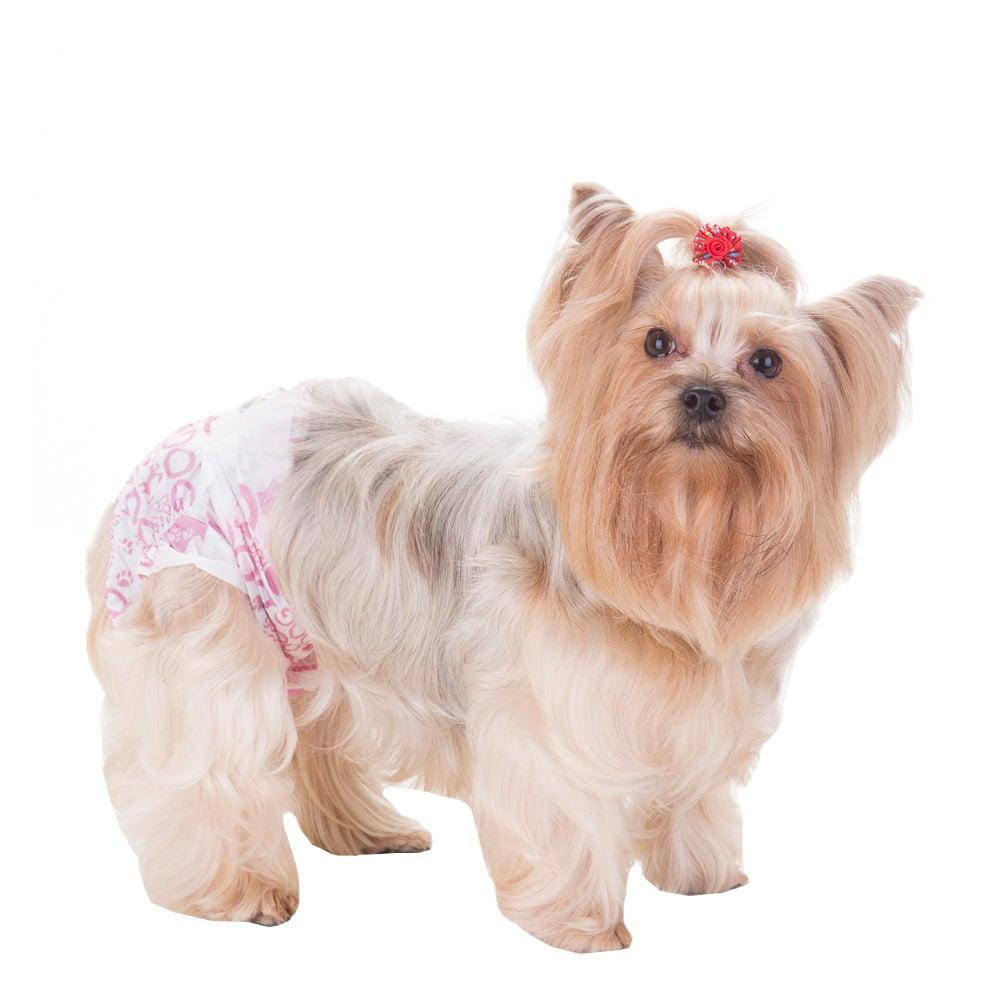 Fralda Higiênica Dog's Care Ecofralda Gel para Fêmeas com 12 Unidades - Tam. PP - 1