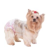 Fralda Higiênica Dog's Care Ecofralda Gel para Fêmeas com 12 Unidades - Tam. PP - 1