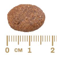 Ração GranPlus Menu Carne e Arroz para Cães Adultos - 15 Kg - 2