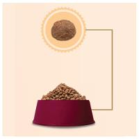 Ração GranPlus Choice Frango e Carne Cães Adultos - 15 Kg - 3