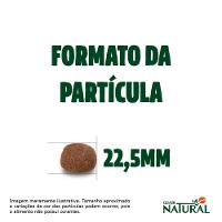 Ração Guabi Natural Frango e Arroz Integral para Cães Adultos Raças Grande e Gigante - 20 Kg - 10