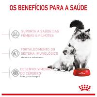 Ração Royal Canin Feline Mother & Baby para Gatos Filhotes de 1 a 4 Meses de Idade - 1,5 Kg - 6