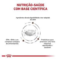 Ração Royal Canin Canine Veterinary Diet Hepatic para Cães Adultos com Problemas Hepáticos - 10 Kg
