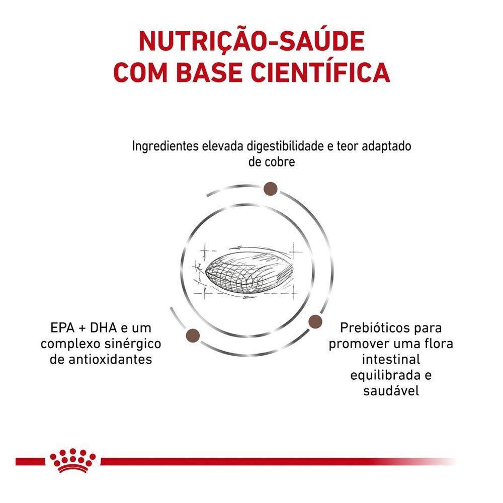 Ração Royal Canin Canine Veterinary Diet Hepatic para Cães Adultos com Problemas Hepáticos - 2 Kg - 4