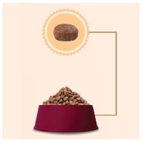 Ração GranPlus Menu Frango e Arroz para Cães Adultos - 15 Kg - 5