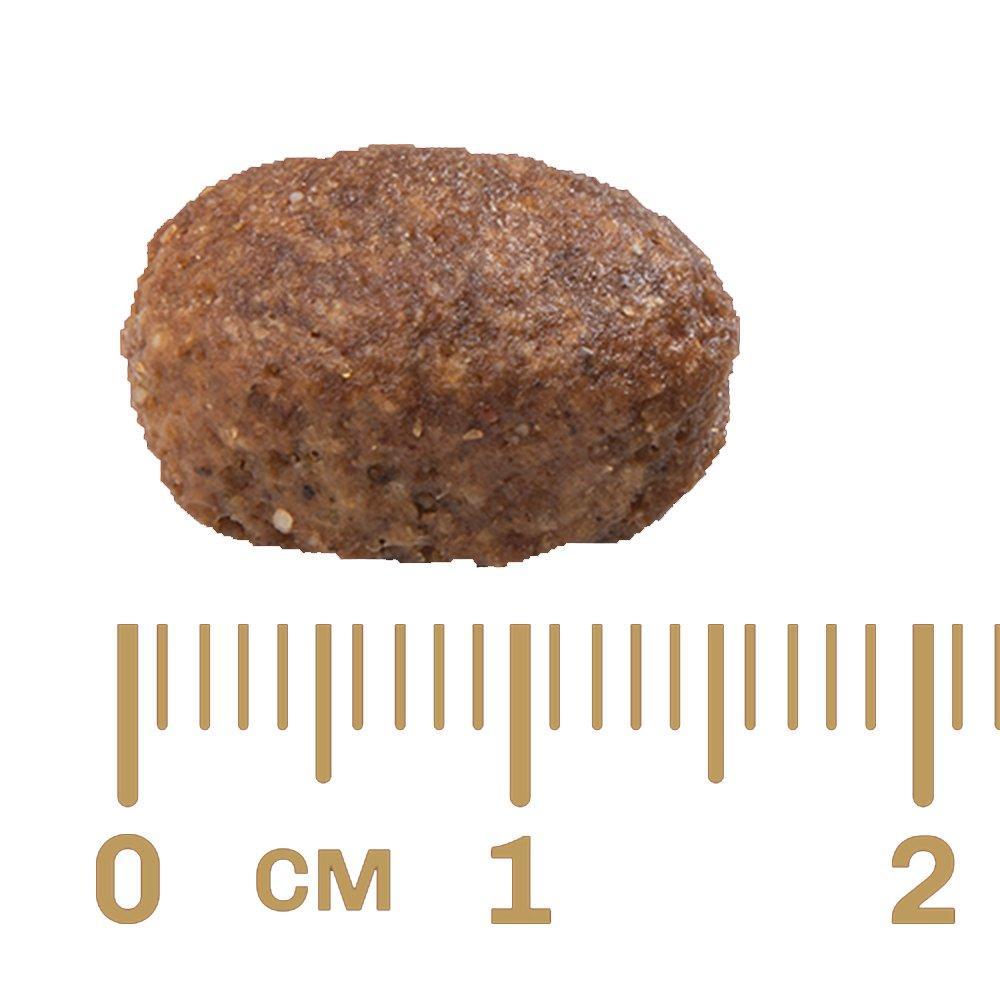 Ração GranPlus Frango e Arroz para Cães Adultos - 20 Kg - 2