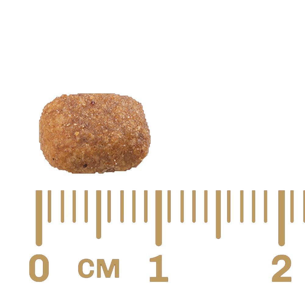 Ração GranPlus Carne e Arroz para Gatos Adultos - 3 Kg - 2