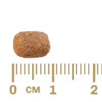 Ração GranPlus Carne e Arroz para Gatos Adultos - 3 Kg - 2