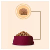 Ração GranPlus Carne e Arroz para Gatos Adultos - 3 Kg