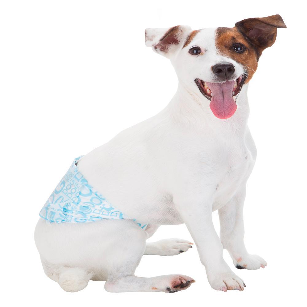 Faixa Absorvente Dog's Care Ecofralda Gel para Macho com 12 Unidades - Tam. G - 2