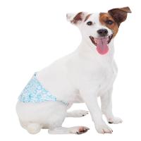 Faixa Absorvente Dog's Care Ecofralda Gel para Macho com 12 Unidades - Tam. G - 2