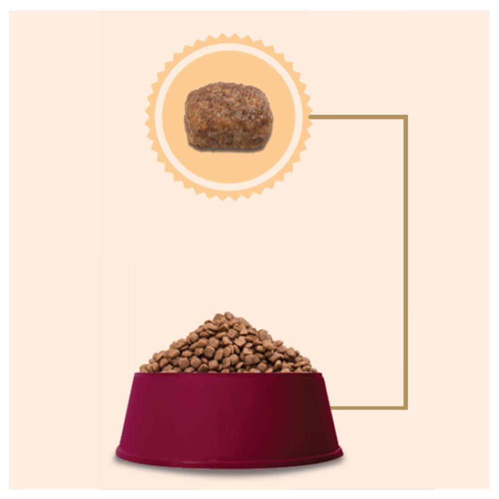 Ração GranPlus Menu Carne e Arroz Cães Adultos Mini - 3 Kg - 4