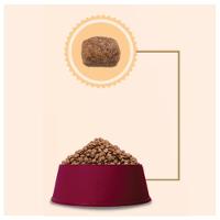 Ração GranPlus Menu Carne e Arroz Cães Adultos Mini - 3 Kg