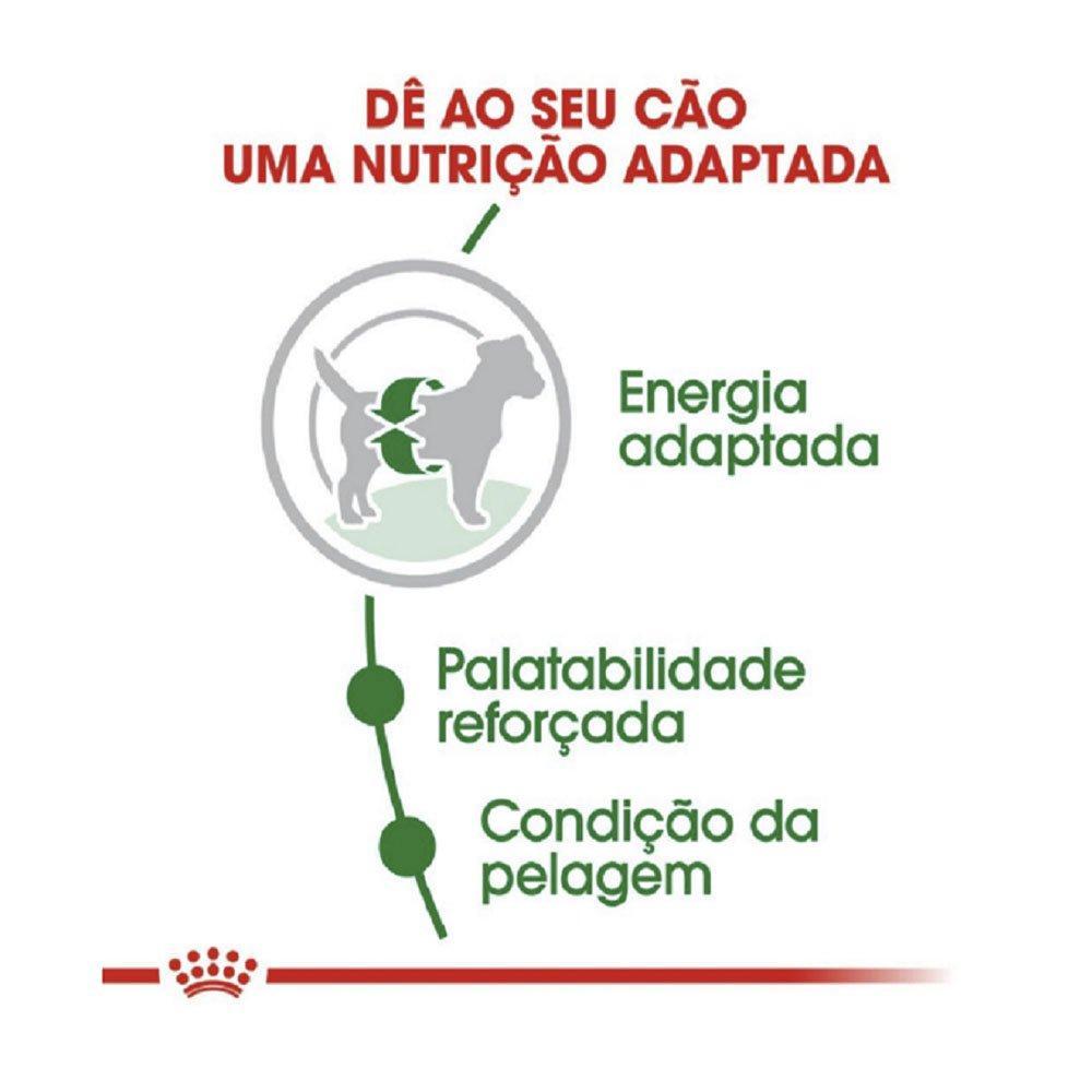 Ração Royal Canin Mini Adult para Cães Adultos de Raças Pequenas com 10 Meses ou mais - 1 Kg - 4