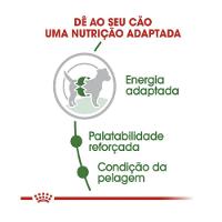 Ração Royal Canin Mini Adult para Cães Adultos de Raças Pequenas com 10 Meses ou mais - 1 Kg